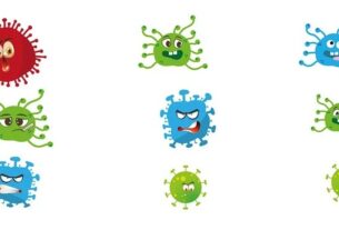 maladies infectieuses virales