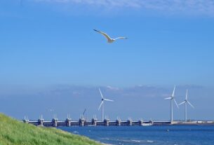 eolien flottant