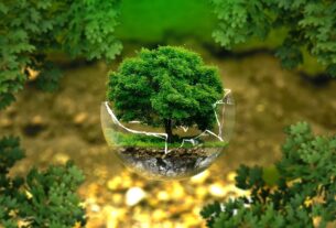 referendum ecologie Francais