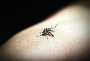 vaccin malaria oms