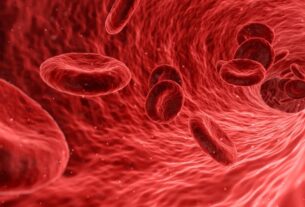 microplastiques sang humain
