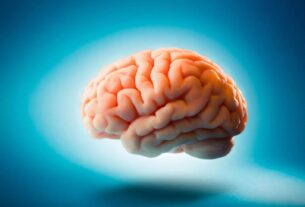 optimisation memoire stimulation electrique seniors