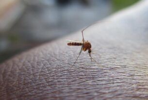 virus exotiques se multiplient