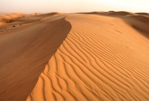 traitement obesite sable