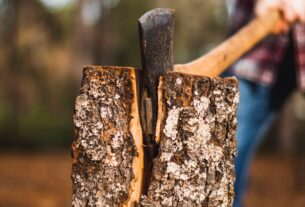 bois-énergie-entretenir-forêts-chauffage