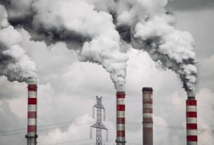 pollution effet cerveau faibles niveaux