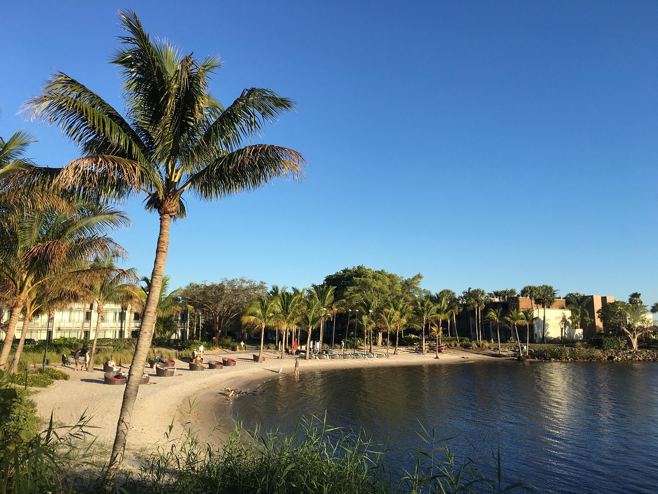 club med
